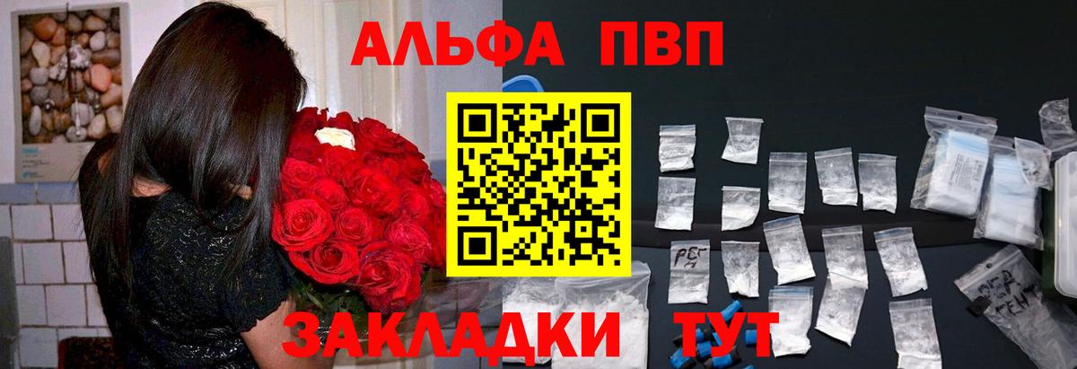 A PVP СК КРИС Киров
