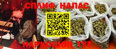 гидропоника Кингисепп