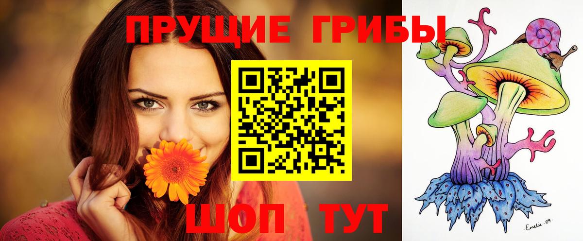 цены   Киров  Галлюциногенные грибы GOLDEN TEACHER 