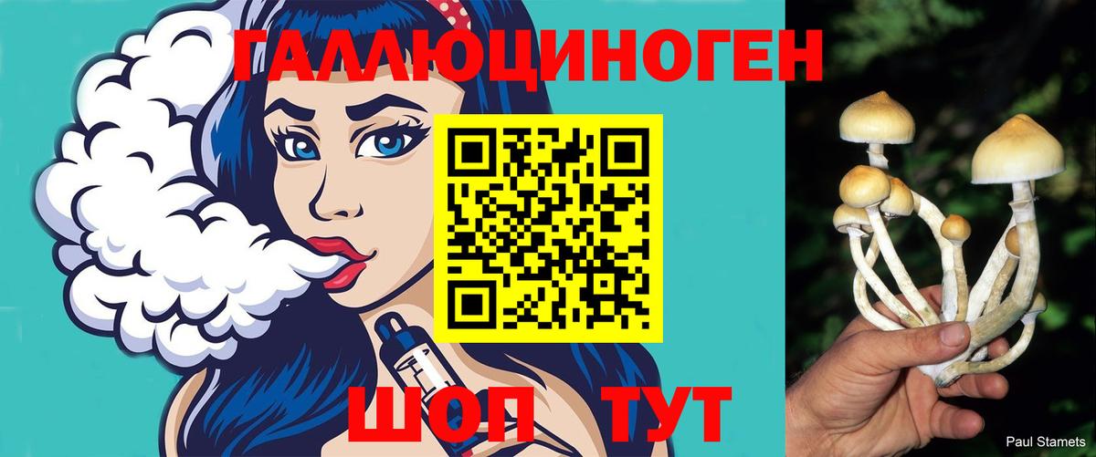 Киров  Псилоцибиновые грибы MAGIC MUSHROOMS  Вход с VPN 